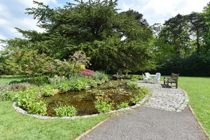 Photo 13- click for photo gallery